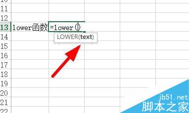Excel中如何将文本转换为小写形式？