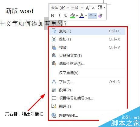 word中文字如何添加着重号？