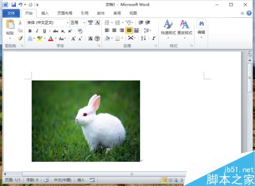 Word2010删除图片背景实现局部提取怎么做