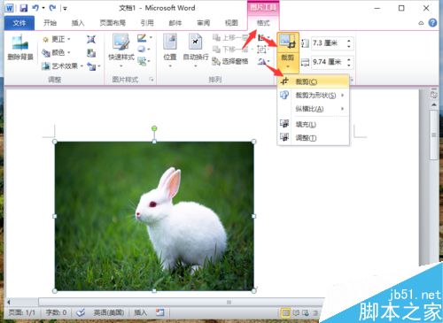 Word2010删除图片背景实现局部提取怎么做