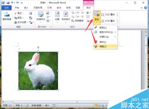 Word2010删除图片背景实现局部提取怎么做