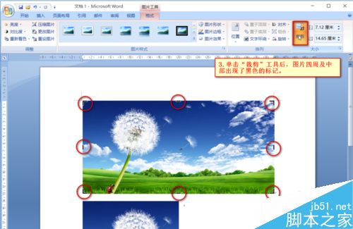 Word中如何对图片进行裁剪