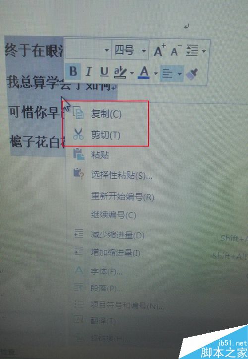 word如何取消项目编号格式的方法？