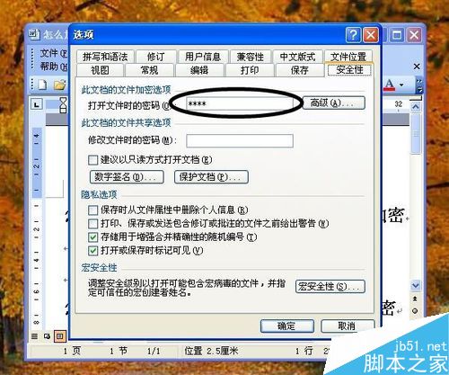 怎么给word文档设置打开密码