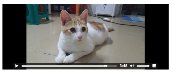 transformʵHTML5 videoǩƵʵ