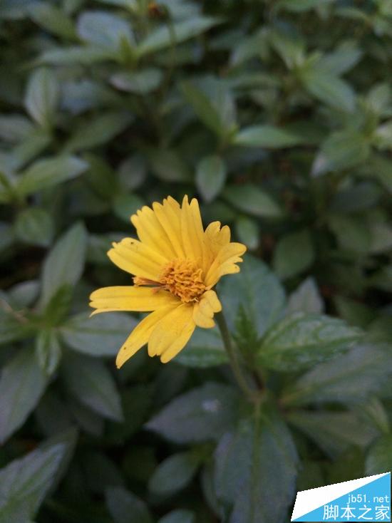 360手机N4A好不好?360N4A全面上手评测