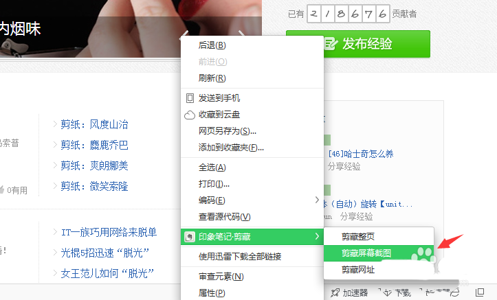 网页文章收藏的艺术：轻松管理您的知识宝库