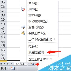 Excel2010怎么隐藏表格？Excel2010隐藏和显示表格教程