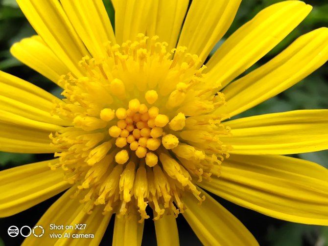 vivo X27配置怎么样 4800万广角夜景三摄vivo