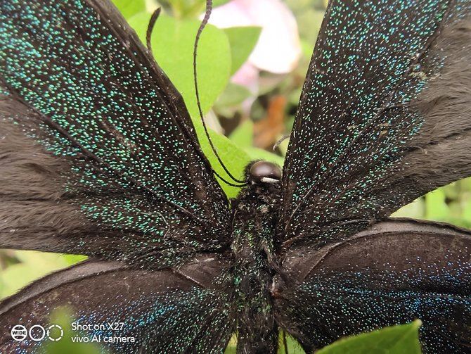 vivo X27配置怎么样 4800万广角夜景三摄vivo