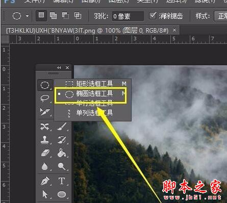 ps怎么裁剪出圆形图形?ps裁剪出圆形的操作过