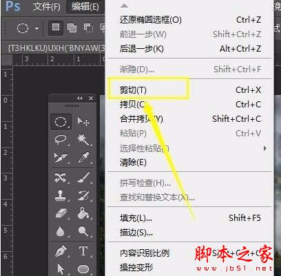 ps怎么裁剪出圆形图形?ps裁剪出圆形的操作过