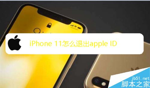 iPhone 11怎么切换apple ID登录?iPhone 11切