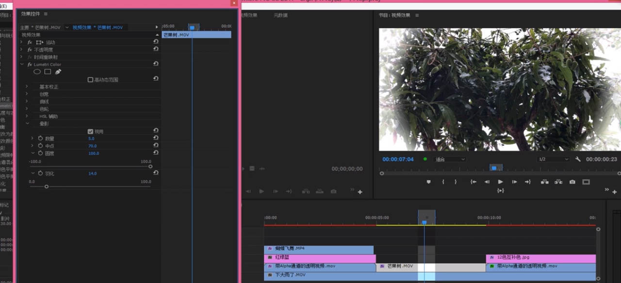 pr视频怎么制作晕影效果? pr镜头晕影效果的制