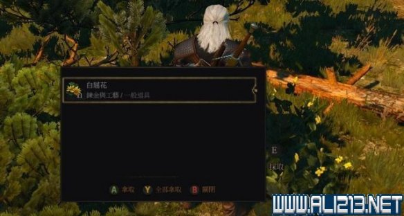 巫师3:狂猎炸弹怎么制作_巫师3炸弹制作方法攻