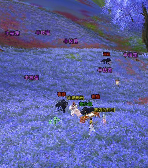 剑网3宠物奇遇触发点列表 剑网3宠物奇遇触发