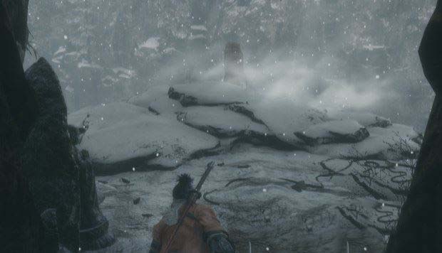 只狼怎么杀白蛇神 干柿子鲜柿子获得方法及忍