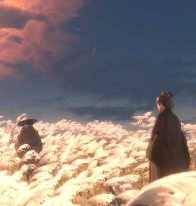 只狼影逝二度攻击力怎么提升 游戏攻击强化方