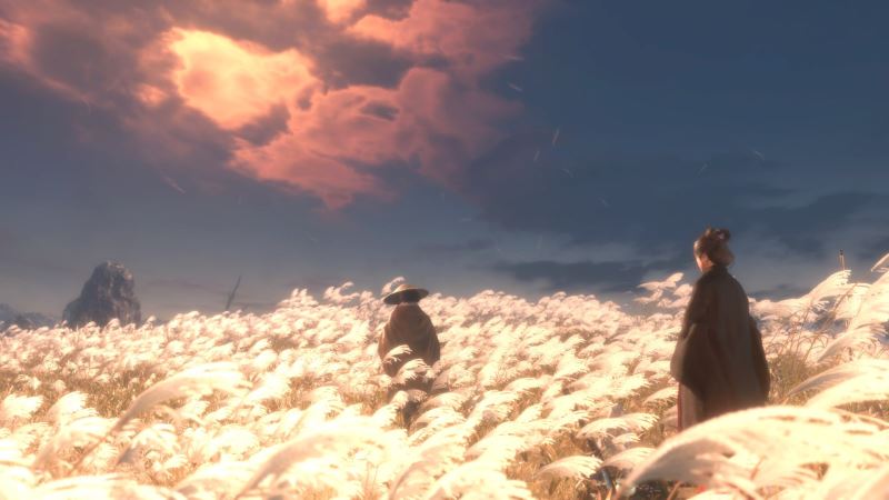 只狼影逝二度全41个鲤鱼鳞片地点介绍 全鱼鳞