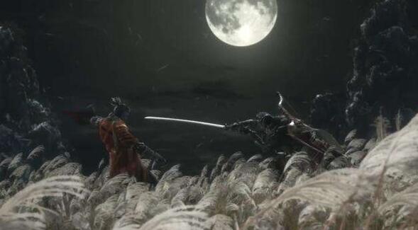 只狼影逝二度二周目白金大致流程是什么 二周