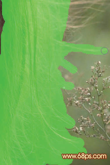 photoshop利用抽出及通道工具完美的抠出头发散乱的外景人物