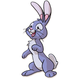 rabbit 兔子