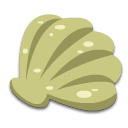 shell 贝壳