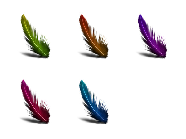 彩色羽毛系列图标png