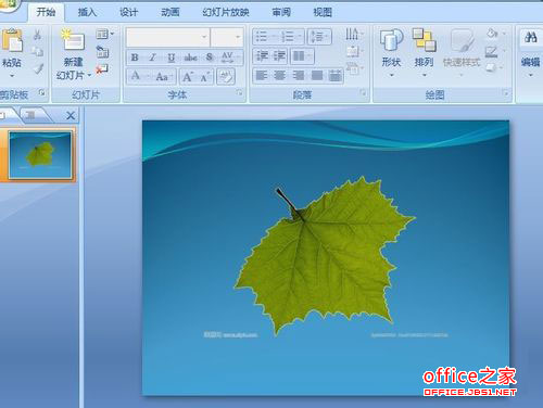 ppt中插入图片的背景色去除方法以去除绿色叶子背景