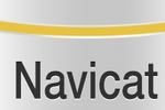 navicat中文版下载_navicat官网下载_navicat使用教程